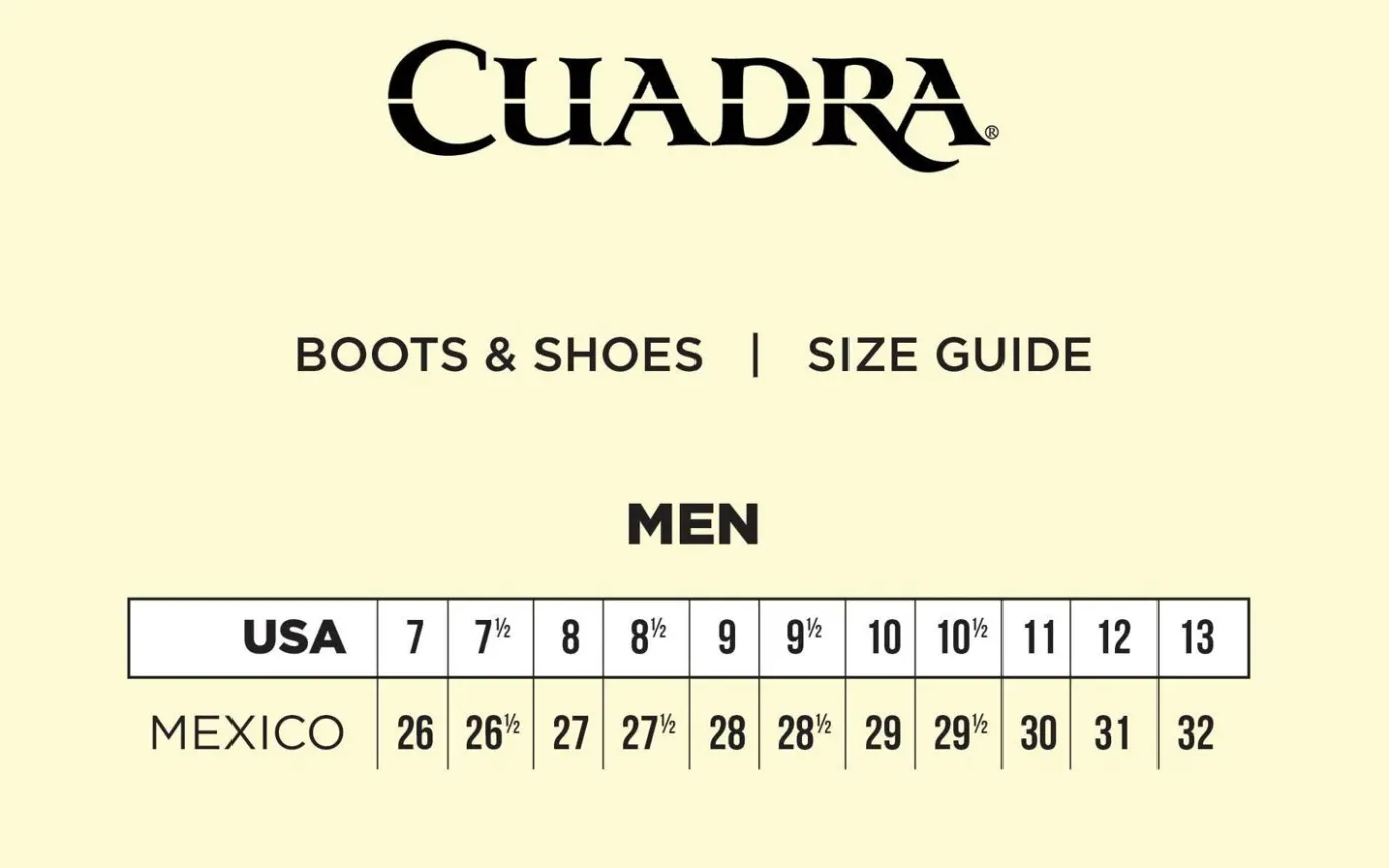 Men Cuadra Sneakers-Hand-Painted Black Exotic Leather Sneakers